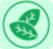 Premium Natural Ingredients Icon